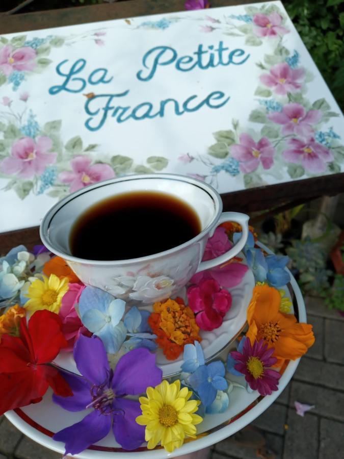 Hotel La Petite France Nova Petropolis Esterno foto