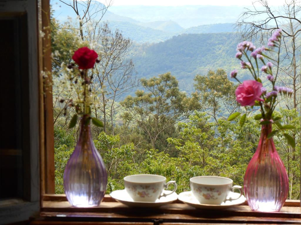 Hotel La Petite France Nova Petropolis Esterno foto